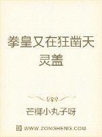 拳皇新篇章