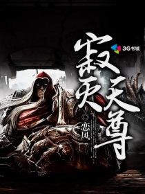 寂灭天尊全集