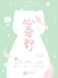 心要野电吉他谱