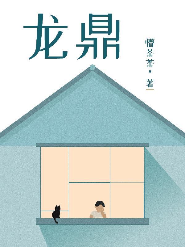 龙鼎风云分集介绍