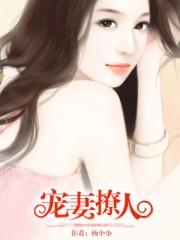 宠婚撩妻