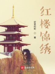 绣红楼第二章