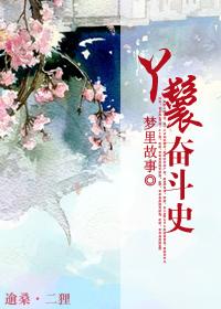 丫鬟电视剧