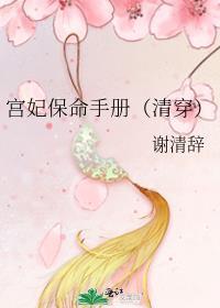 宫妃寿命