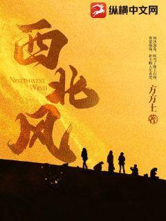 西北风歌词