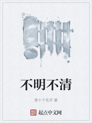 不明不清 第十个名字
