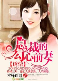 总裁诱妻成瘾全本免费阅读 192.168.0.1