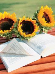 护理伦理学的理论基础是什么