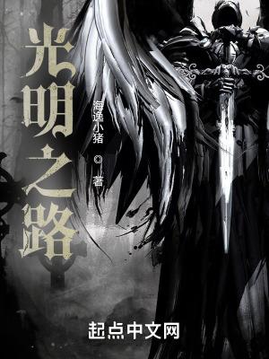 光明之路国家电网