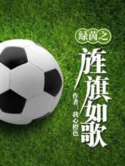 绿茵之巅视频