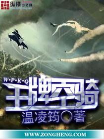 王牌空战7值得买吗
