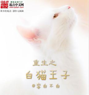 白猫王子阅读