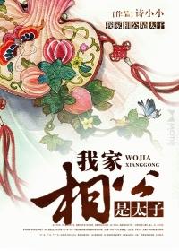 反派相公很粘人太子