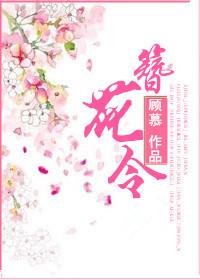 簪花令后续