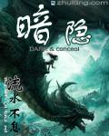 暗隐精灵11