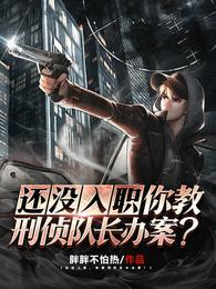 刑侦队长工资
