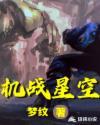 机战星空商贸价格表