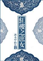 红楼之庶女封爵