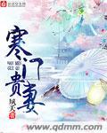 寒门贵妻txt