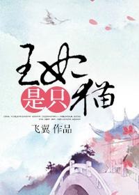 王妃是只猫王爷取五年前首饰