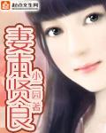 妻本贤良橙光破解