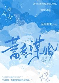 蓄意谋婚王云云白方文版