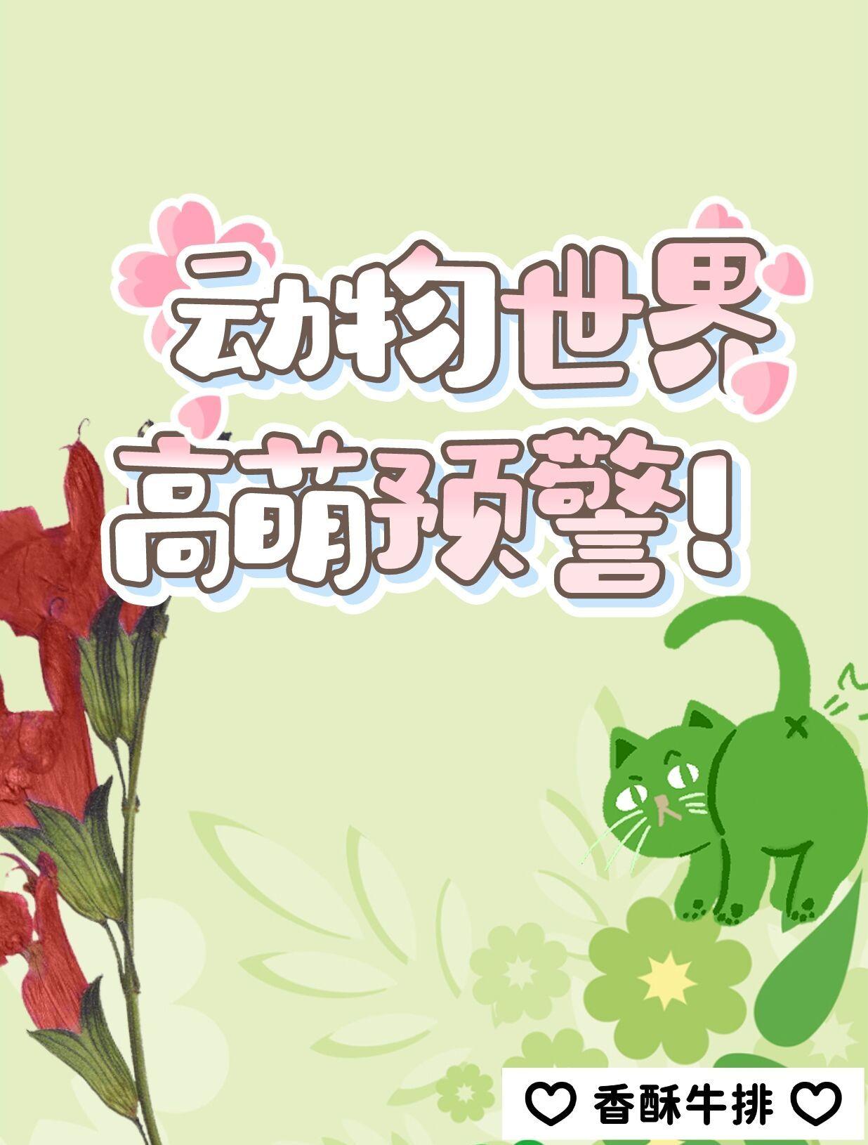 动物世界万人迷图鉴(快穿)无防盗