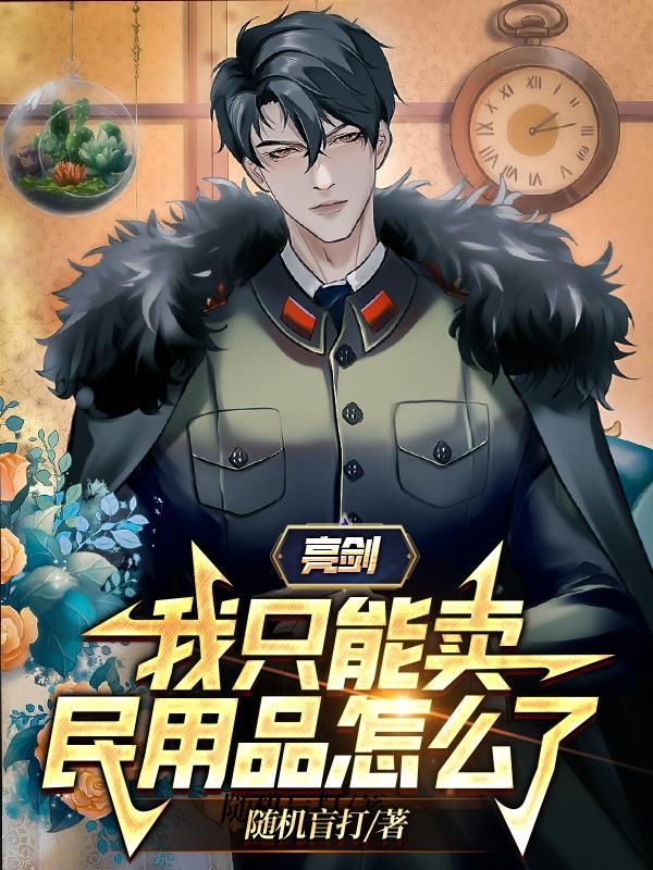 亮剑我只能卖民用品怎么了笔趣阁