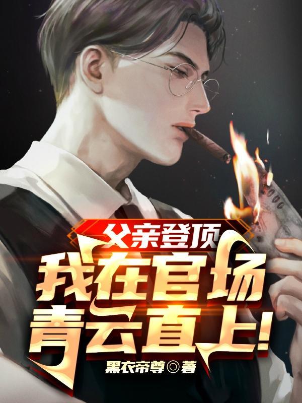 我在官场青云直上TXT