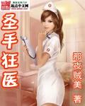 圣手狂医无弹窗
