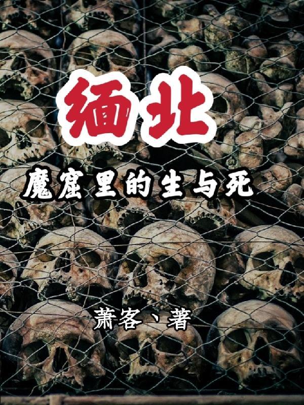 缅北魔窟里的生与死百度百科