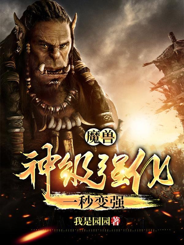 魔兽世界强化属性哪个重要