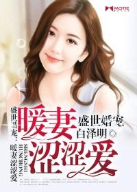 盛世暖婚之夫人超大牌 免费阅读