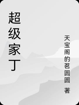 超级家丁 紫微