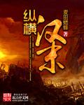 汉末纵横天下
