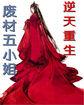 废材逆天神医五小姐