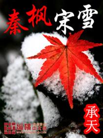 主角叫秦枫