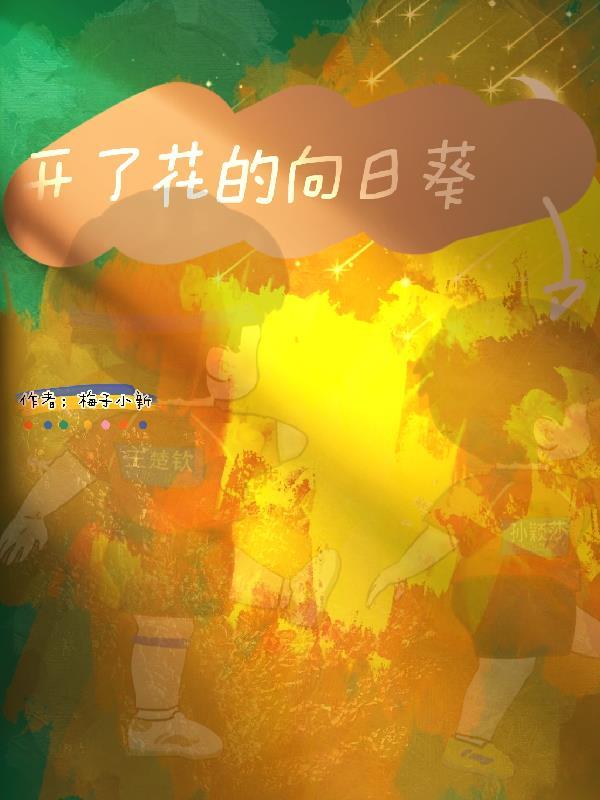 开了花的向日葵 莎头