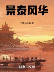 景泰风华酒