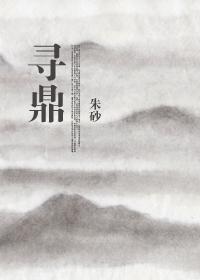 寻鼎by朱砂TXT