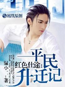红色仕途 平民升迁记