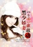 黑少宠妻老公大人我超甜
