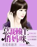 赖上总裁哥哥