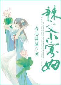 辣文小寡妇林芝笔阁趣