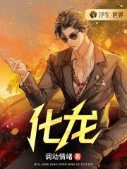化龙第100集免费观看
