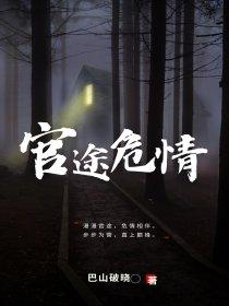 官途危情笔趣阁全文