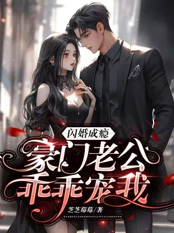 豪门闪婚老公大人轻点宠