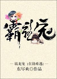 霸龙宠凤