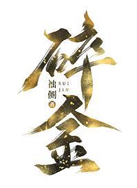 碎金讲的什么