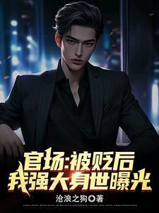 官场奇才最强靠山竟是我自己李霖李澜